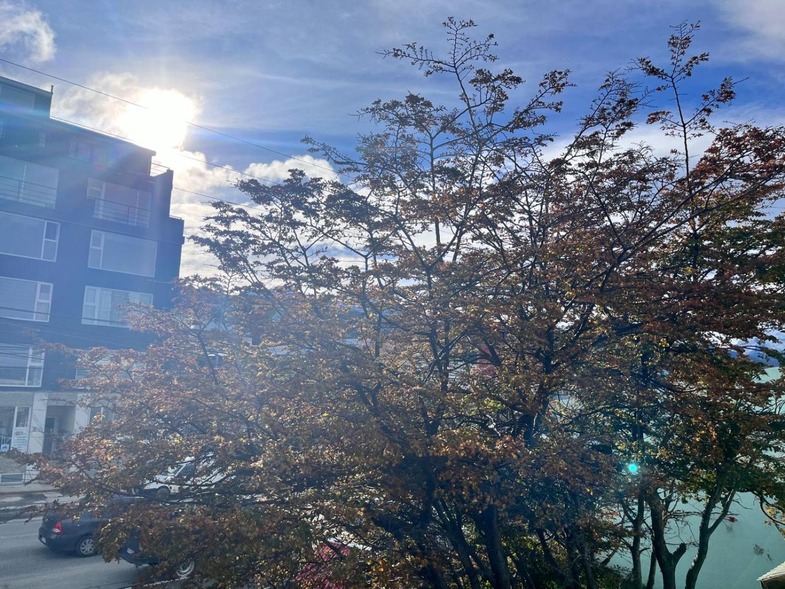 Victoria Plaza Apartment Ushuaia Luaran gambar